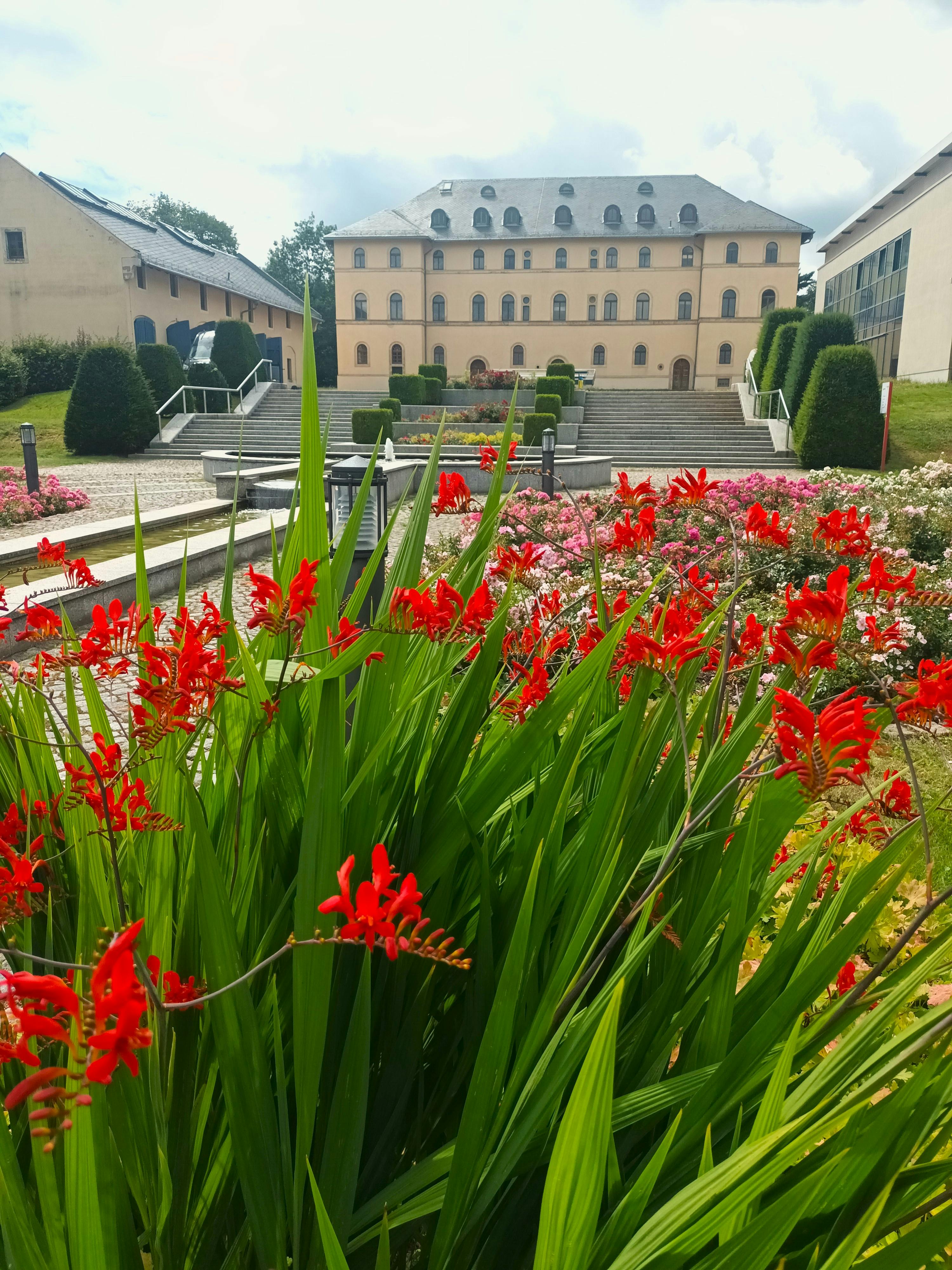 Kultur.Palais.Lichtenstein